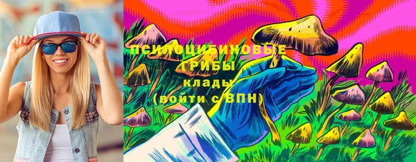 бошки Алексин