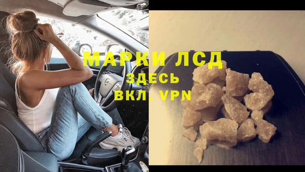 spice Аркадак