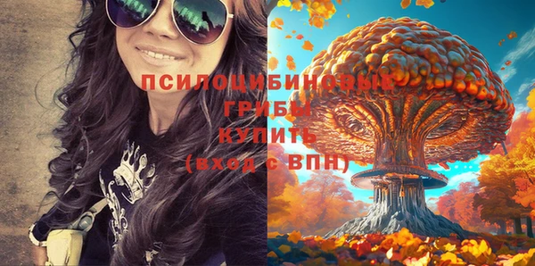 бошки Алексин