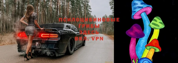spice Аркадак